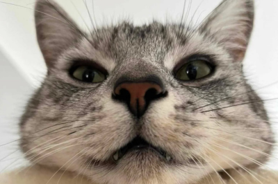 ""